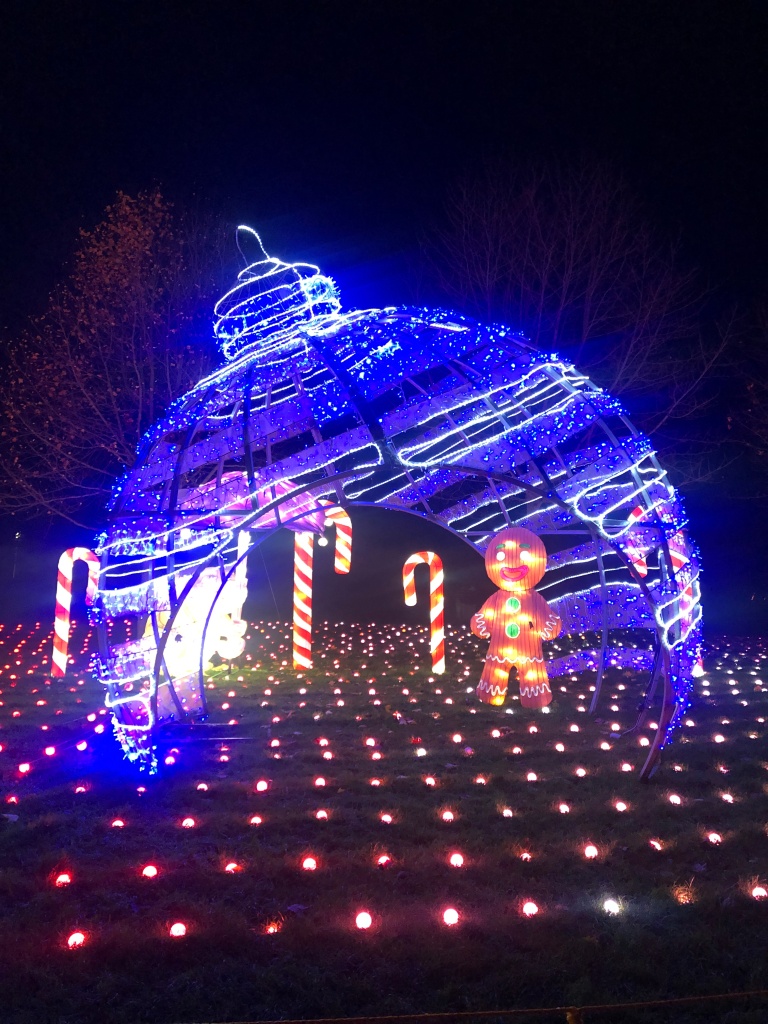 Lightopia Festival London – Crystal Palace – The Review Studio